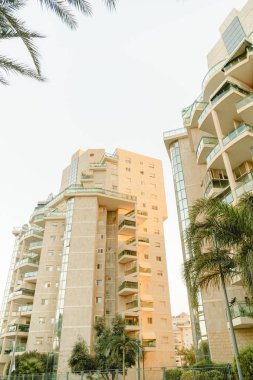 Yaz cityscape, Bina ve egzotik palmiye ağaçları