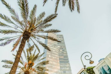 İsrail office yüksek Tel-Aviv kentsel inşaat. Rothschild Bulvarı. Seyahat şehir ve İş Merkezi