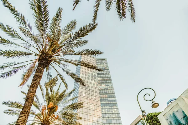 İsrail office yüksek Tel-Aviv kentsel inşaat. Rothschild Bulvarı. Seyahat şehir ve İş Merkezi