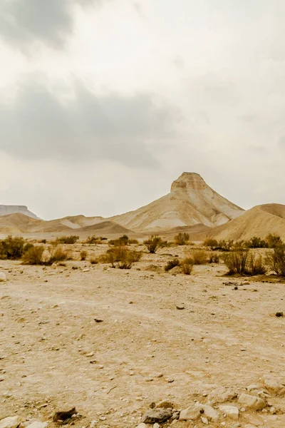 Vue verticale sur la nature sèche du Moyen-Orient en Israël — Photo