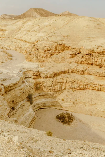 Vista vertical da paisagem no deserto seco do Oriente Médio em Israel — Fotografia de Stock