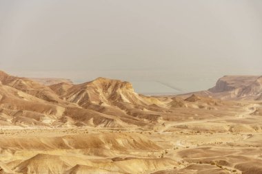 Güzel doğa çöl içinde Kuru Musevi pitoresk ekilmemiş boş arazi. Açık doğal peyzaj