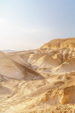 Güzel doğa çöl içinde Kuru Musevi pitoresk ekilmemiş boş arazi. Açık doğal peyzaj