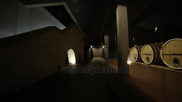 樽、ワイン樽、古酒、階段 — ストック動画