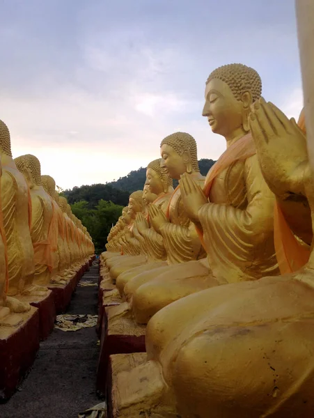 Altın Budist heykeli / Budist keşiş, Buda Anıt Parkı, Nakornnayok, Tayland