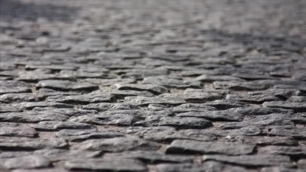 A sidewalk - known as a footpath, footway or pavement blackmagic — Stock Footage A sidewalk - known as a footpath, footway or pavement blackmagic Video Clip