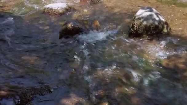 Rotsen in een snel stromende rivier — Stockvideo