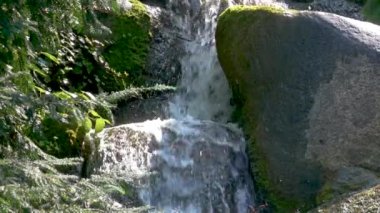 Yosunlu Kayalar ve Kozalaklı Küçük Şelale 'ye yakın çekim