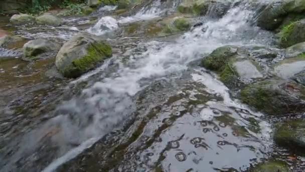 Moción lenta de una pequeña cascada con rocas musgosas — Vídeos de Stock