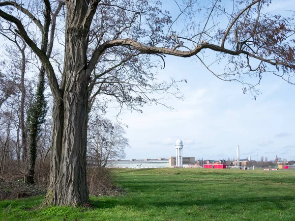 柏林公共城市公园中的树木与前雷达塔冬天的诱惑 图库图片