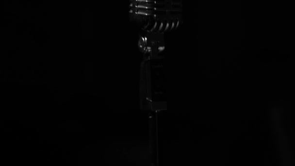 Profesyonel Konser Klasik Mikrofon Kaydı Için Karanlık Boşlukta Seyircilerle Konuşmak — Stok video