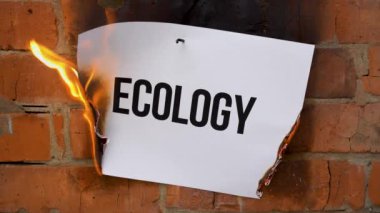 Beyaz bir A4 tablosundaki yazı turuncu bir duvarın arka planına karşı. Ekoloji 'nin siyah sözcüğünün olduğu kağıt yanıyor, duman çıkıyor ve küle dönüşüyor. İş konsepti.