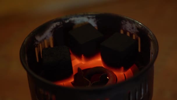Κάρβουνα Αναφλέγονται Ειδικό Ηλεκτρικό Καυστήρα Από Την Πρίζα 220 Volt — Αρχείο Βίντεο