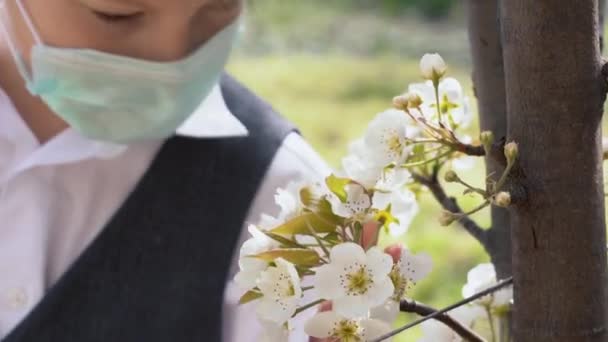 Jeune Garçon École Mignon Chemise Blanche Venir Arbre Respirer Odeur — Video