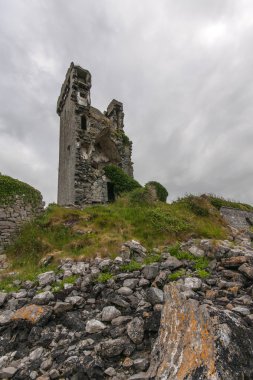 Boston Castle İrlanda