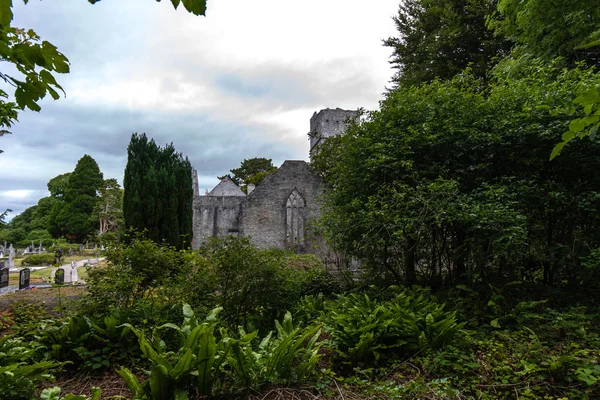 Abadía de Muckross Killarney — Foto de Stock