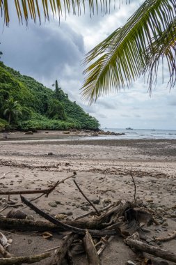 Gofret Bay Cocos Adası
