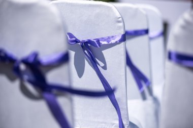 düğün töreni sandalyeler