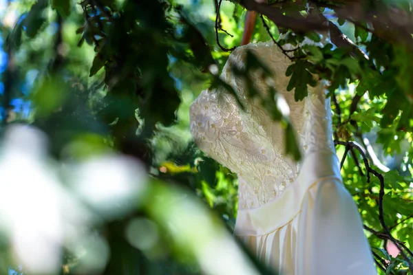 Svatební šaty na stromě — Stock fotografie
