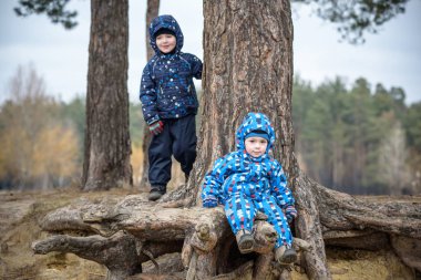 İki küçük çocuğu oynama, oturma ve ağaç kök gülümseyen sonbahar manzara üzerinde
