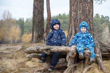 İki küçük çocuğu oynama, oturma ve ağaç kök gülümseyen sonbahar manzara üzerinde