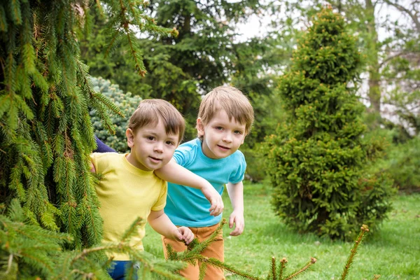 Retrato de cerca de dos hermanos pequeños caucásicos riéndose afuera en el parque en el día de verano — Foto de Stock
