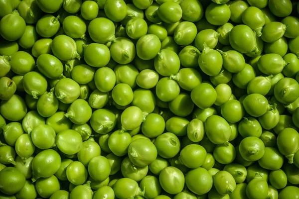 Gröna ärtor bakgrund textur vegetabiliskt. färsk bakgr — Stockfoto