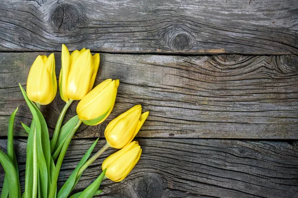 Friss sárga tulipán virág törülközővel, ősi, vintage, fa tábla. — Stock Fotó