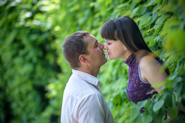 Milování mladých pár v létě v parku. — Stock fotografie