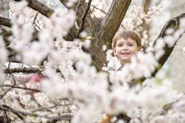 yürümeye başlayan çocuk yakınındaki çiçeği ağaç bahar zamanında