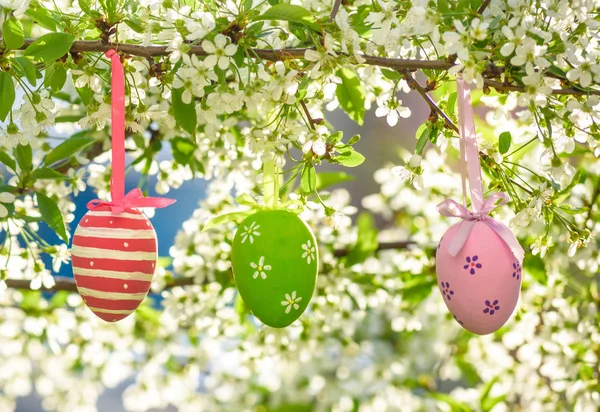 Several Easter colored eggs hanging on a tree branch color sunny spring day. — Stock Photo, Image