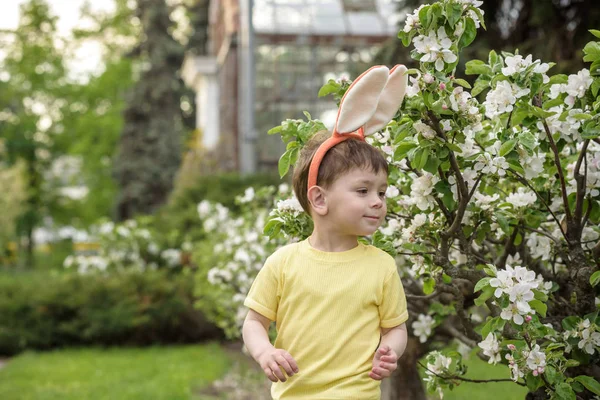 Мальчик охотится за пасхальными яйцами в весеннем саду. Симпатичный — стоковое фото
