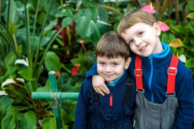 İki erkek, kardeş, kardeş ve arkadaşlarım gülümseyen portresi. Sarılma arkadaşlar.