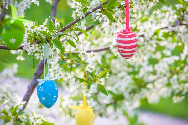 Несколько яиц пасхального цвета висят на ветке дерева солнечный весенний день . — стоковое фото