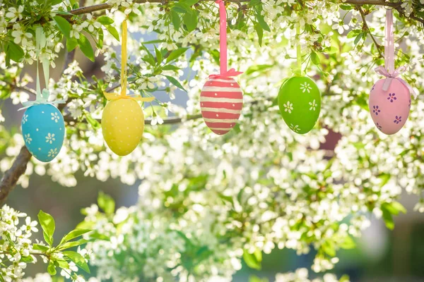 Several Easter colored eggs hanging on a tree branch color sunny spring day. — Stock Photo, Image