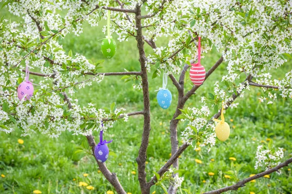 Several Easter colored eggs hanging on a tree branch color sunny spring day. — Stock Photo, Image