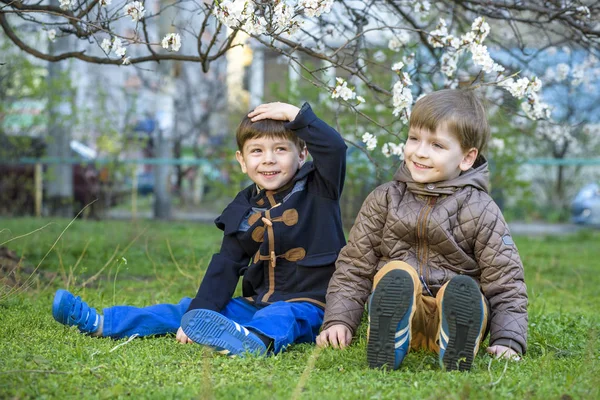Ευτυχισμένος αδελφοί παιδάκια στον κήπο την άνοιξη με τα ανθίζοντας δέντρα, — Φωτογραφία Αρχείου