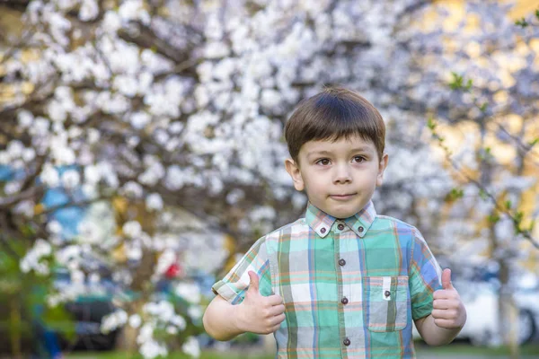 Bahar zaman mutlu b gülümseyerek çiçeği tree yakınındaki yürümeye başlayan çocuk — Stok fotoğraf