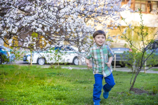 Малыш в весеннее время рядом с цветущим деревом улыбаясь счастливый б — стоковое фото