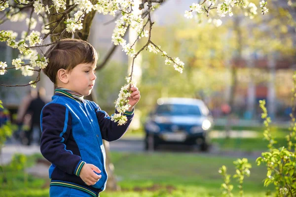 Entzückende Blondine Junge Porträt in blühenden Kirschgarten, Wandern im Freien — Stockfoto