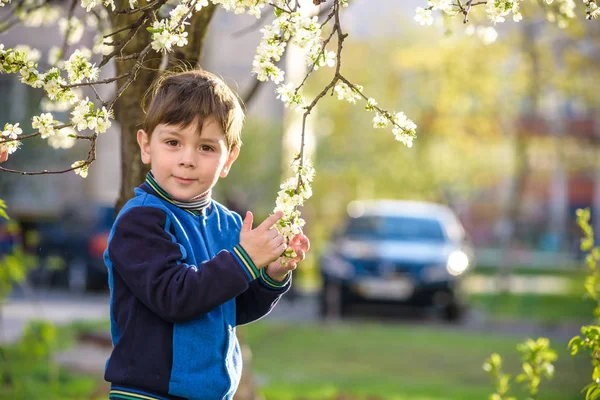 Adorable rubia niño retrato en flor cerezo jardín, caminando al aire libre — Foto de Stock