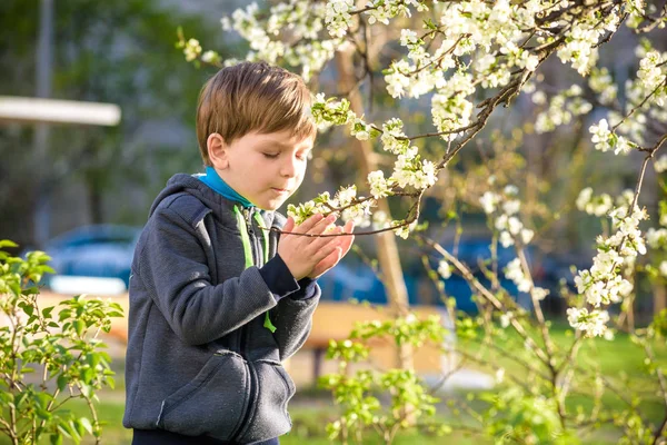 Чарівний блондинка хлопчик портрет в квітучому вишневому саду, ходьба на відкритому повітрі — стокове фото