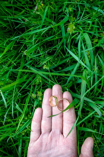 Anillos de boda sobre fondo verde —  Fotos de Stock