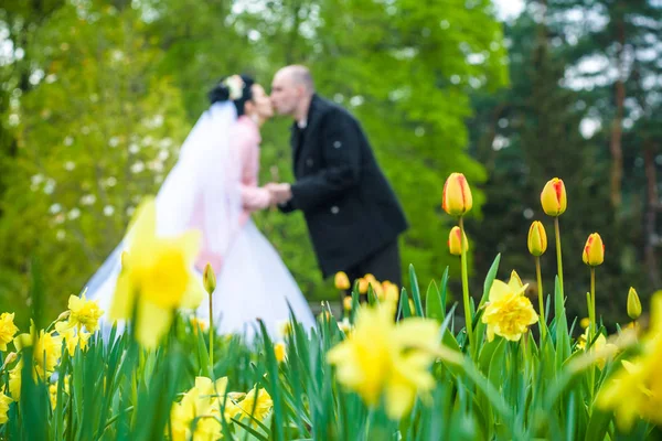 Gyönyörű pár esküvői már a tavaszi kertben. A hangsúly a tulipán virágok — Stock Fotó