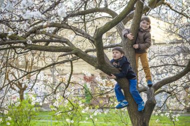 İki erkek kardeş çocukları çiçeği bahar ahşap ve ha asılı