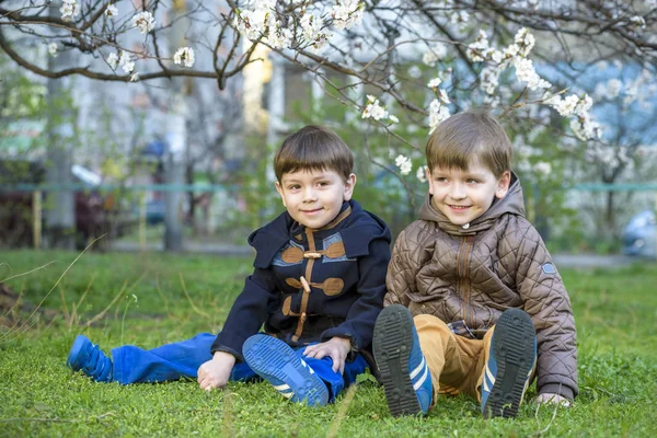 Felices hermanitos niños en el jardín de primavera con árboles florecientes , — Foto de Stock