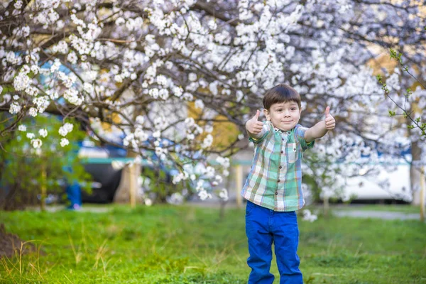 Toddler boy in spring time near the blossom tree smiling happy b — Stock Photo, Image