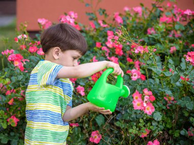 Sevimli küçük çocuk sulama tesisleri ile bahçede sulama olabilir. Çocuklar açık havada etkinliklerle.