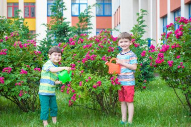 İki küçük gül bahçesinde olan sulama çocuklar çocuk. Aile, Bahçe Bahçe, yaşam tarzı,