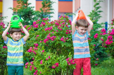 İki küçük gül bahçesinde olan sulama çocuklar çocuk. Aile, Bahçe Bahçe, yaşam tarzı,